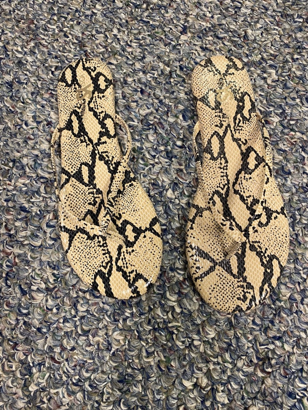 Yosi Samra Snake Print Flip Flop Sandals - Beige & Black - Picture 4 of 5